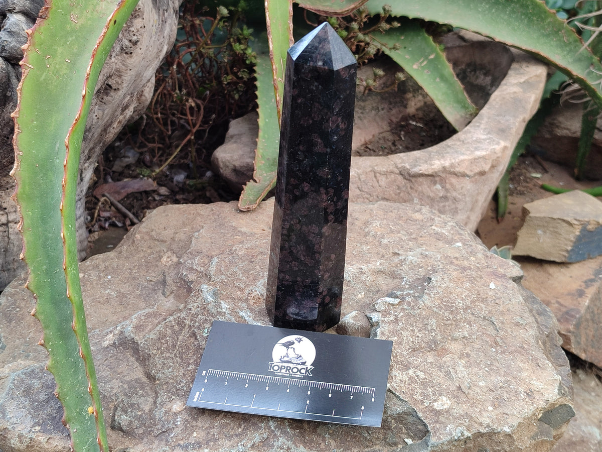 Polished Iolite Points x 4 From Ambatofinandrahana, Madagascar - Toprock Gemstones and Minerals 