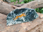 Hand Made Cheetahs Decoupage on Moss Agate Stone Slabs - Sold Per Item - From South Africa - Toprock Gemstones and Minerals 
