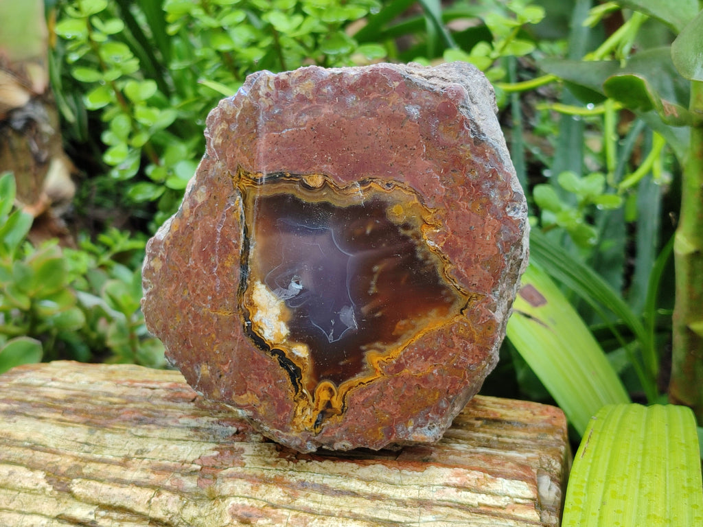 Polished On One Side Agate Nodules x 2 From South Africa - Toprock Gemstones and Minerals 