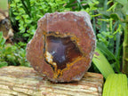 Polished On One Side Agate Nodules x 2 From South Africa - Toprock Gemstones and Minerals 