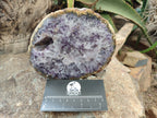 Polished On One Side Agate Nodules x 2 From South Africa - Toprock Gemstones and Minerals 