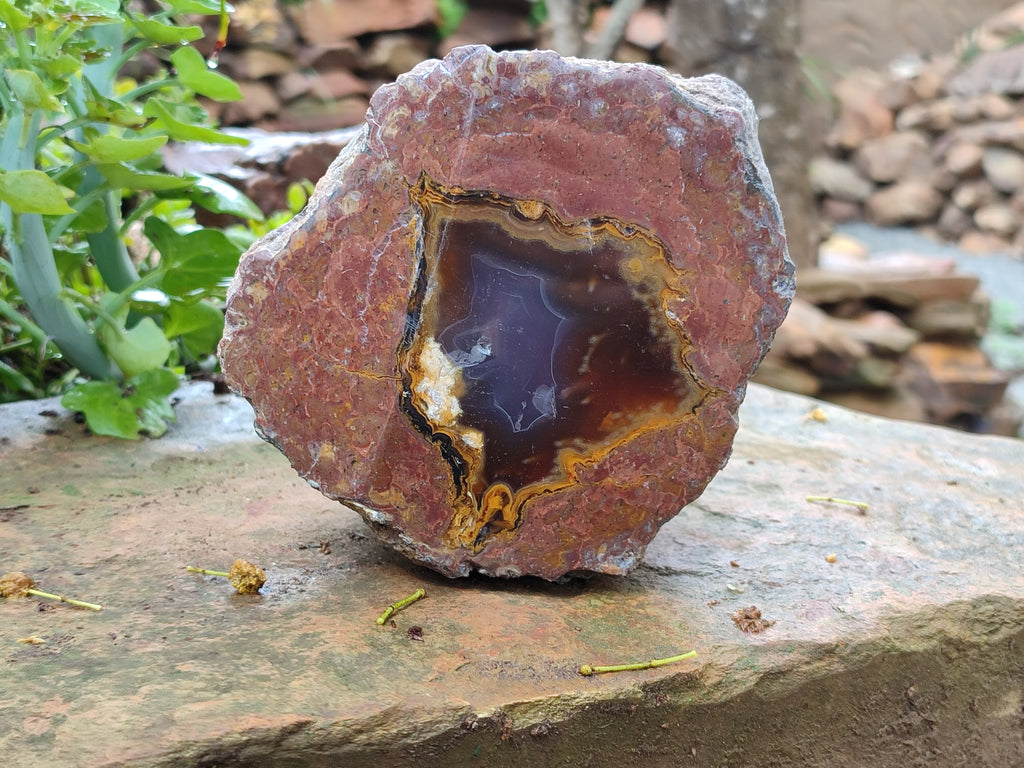 Polished On One Side Agate Nodules x 2 From South Africa - Toprock Gemstones and Minerals 