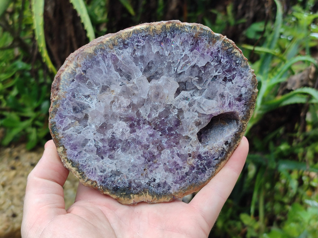 Polished On One Side Agate Nodules x 2 From South Africa - Toprock Gemstones and Minerals 