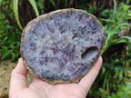 Polished On One Side Agate Nodules x 2 From South Africa - Toprock Gemstones and Minerals 