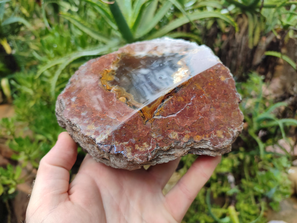 Polished On One Side Agate Nodules x 2 From South Africa - Toprock Gemstones and Minerals 