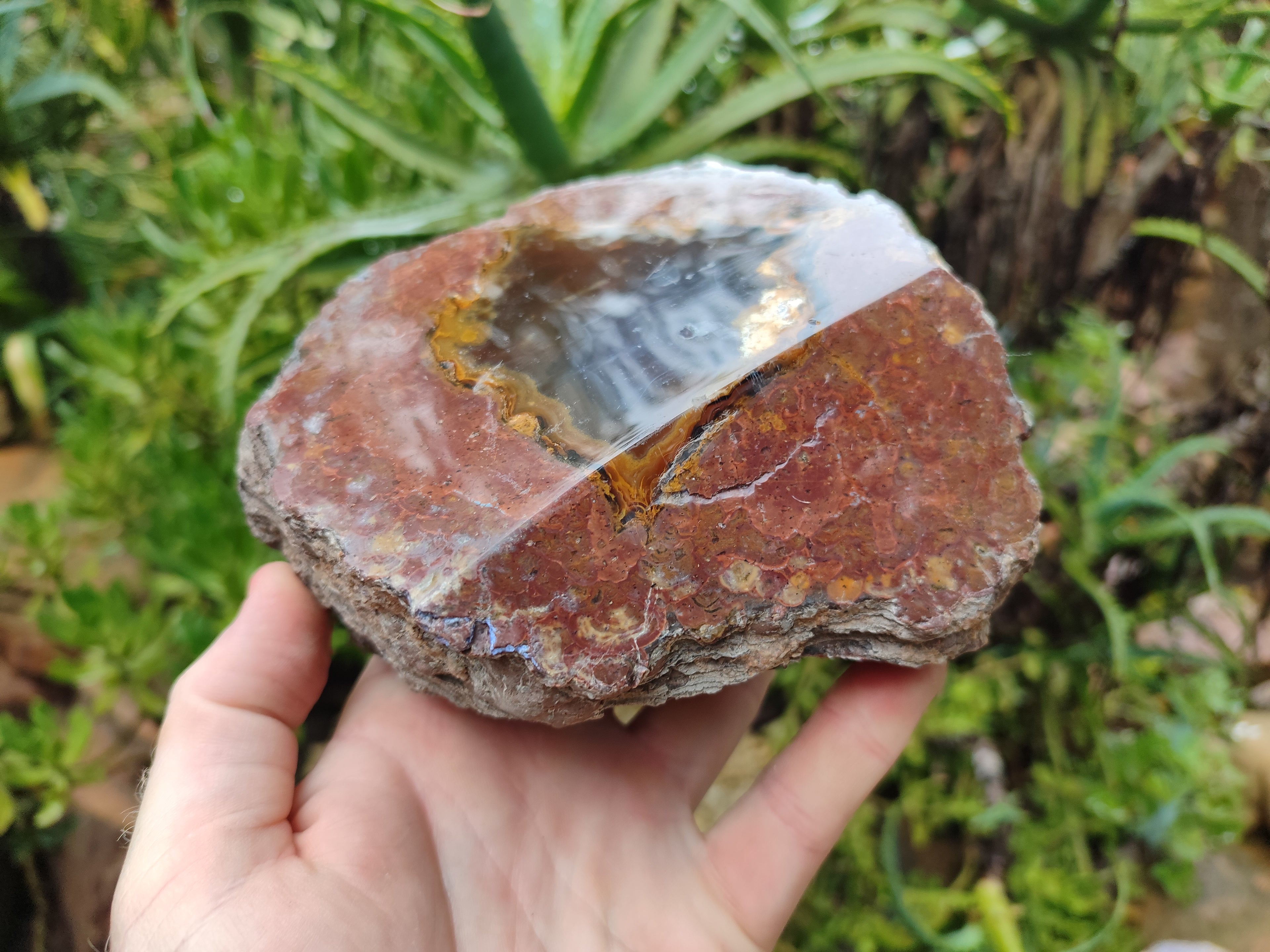 Polished On One Side Agate Nodules x 2 From South Africa - Toprock Gemstones and Minerals 