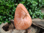 Polished Orange Twist Calcite Standing Free Form x 1 From Maevantanana, Madagascar - Toprock Gemstones and Minerals 