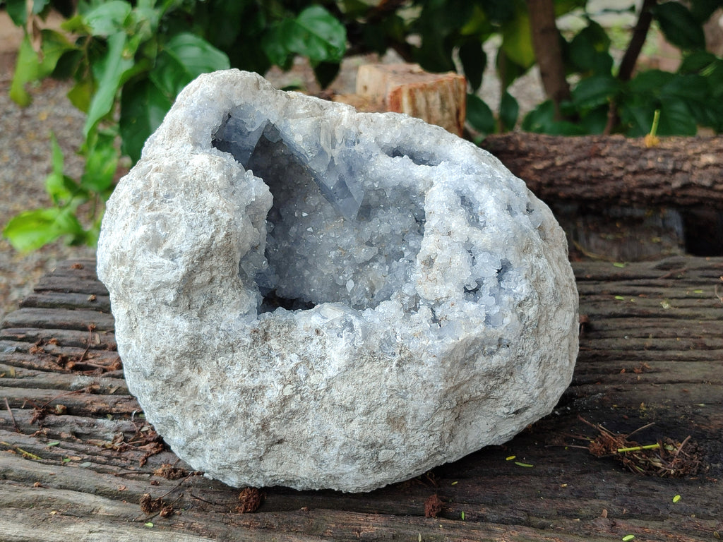 Natural Celestite Geode Specimen x 1 From Sakoany, Madagascar - Toprock Gemstones and Minerals 