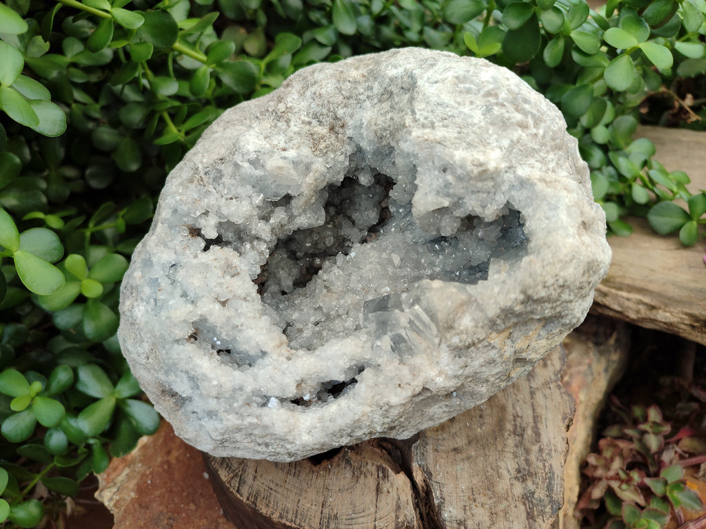 Natural Celestite Geode Specimen x 1 From Sakoany, Madagascar - Toprock Gemstones and Minerals 