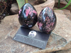 Polished Rhodonite Eggs x 4 From Madagascar - Toprock Gemstones and Minerals 