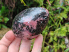 Polished Rhodonite Eggs x 4 From Madagascar - Toprock Gemstones and Minerals 