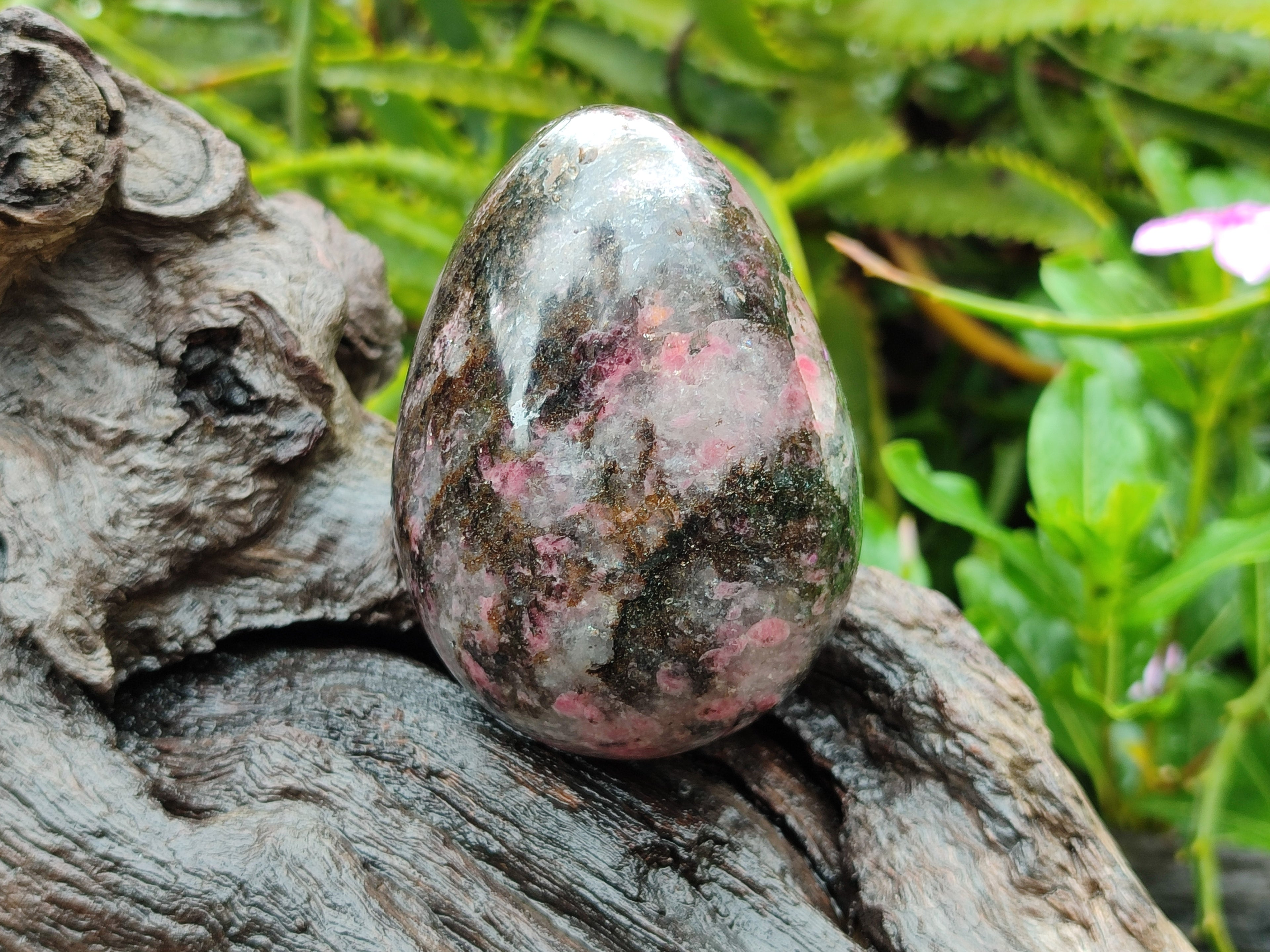 Polished Rhodonite Eggs x 4 From Madagascar - Toprock Gemstones and Minerals 
