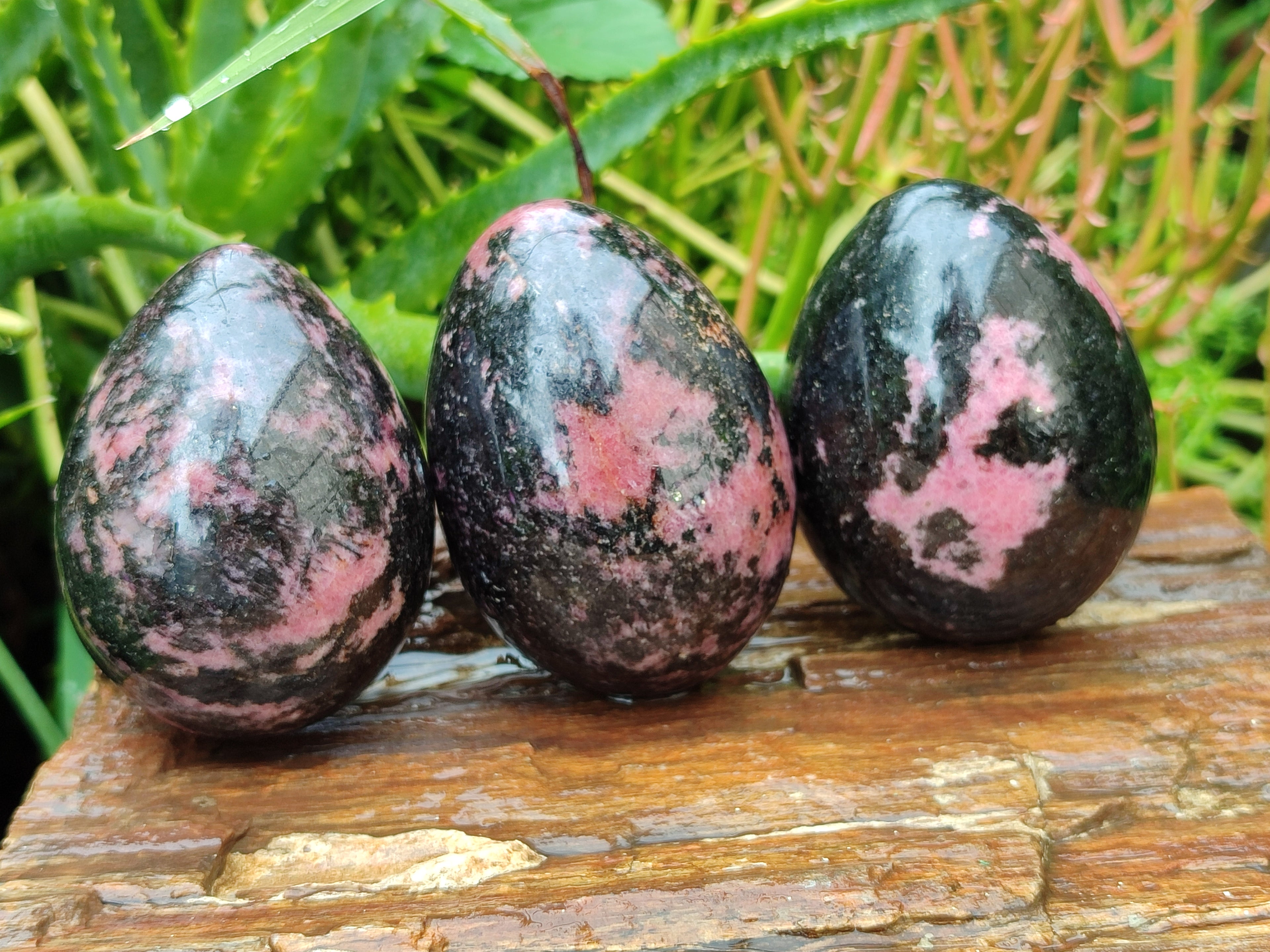 Polished Rhodonite Eggs x 4 From Madagascar - Toprock Gemstones and Minerals 