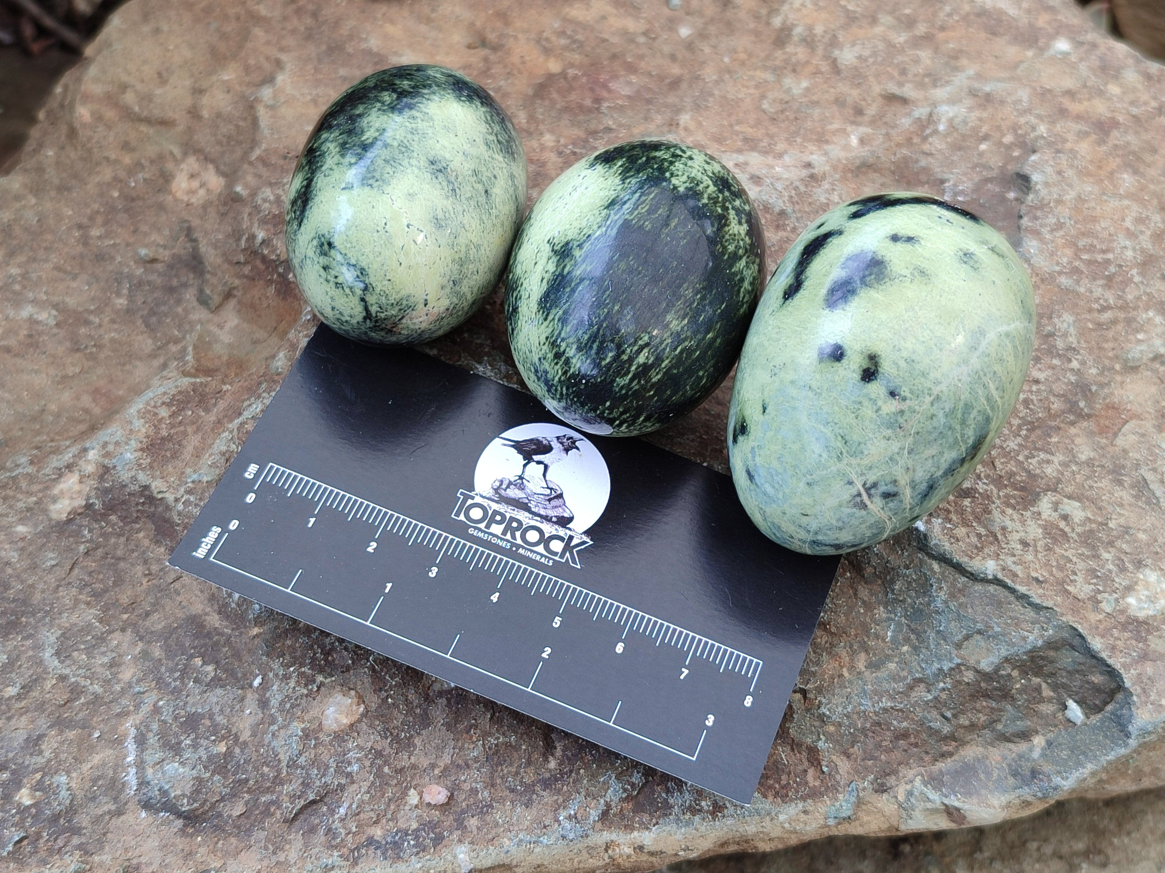 Polished Leopard Stone Gemstone Eggs x 12 From Zimbabwe - Toprock Gemstones and Minerals 
