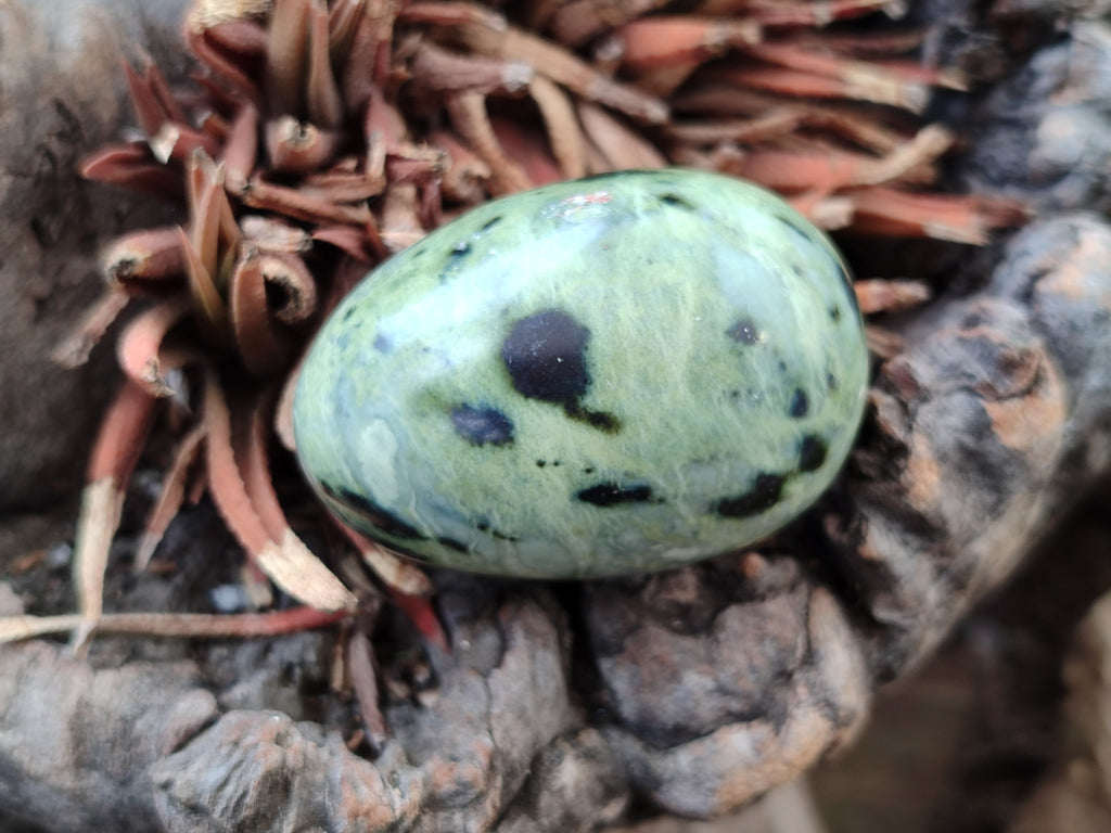 Polished Leopard Stone Gemstone Eggs x 12 From Zimbabwe - Toprock Gemstones and Minerals 