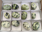Polished Leopard Stone Gemstone Eggs x 12 From Zimbabwe - Toprock Gemstones and Minerals 