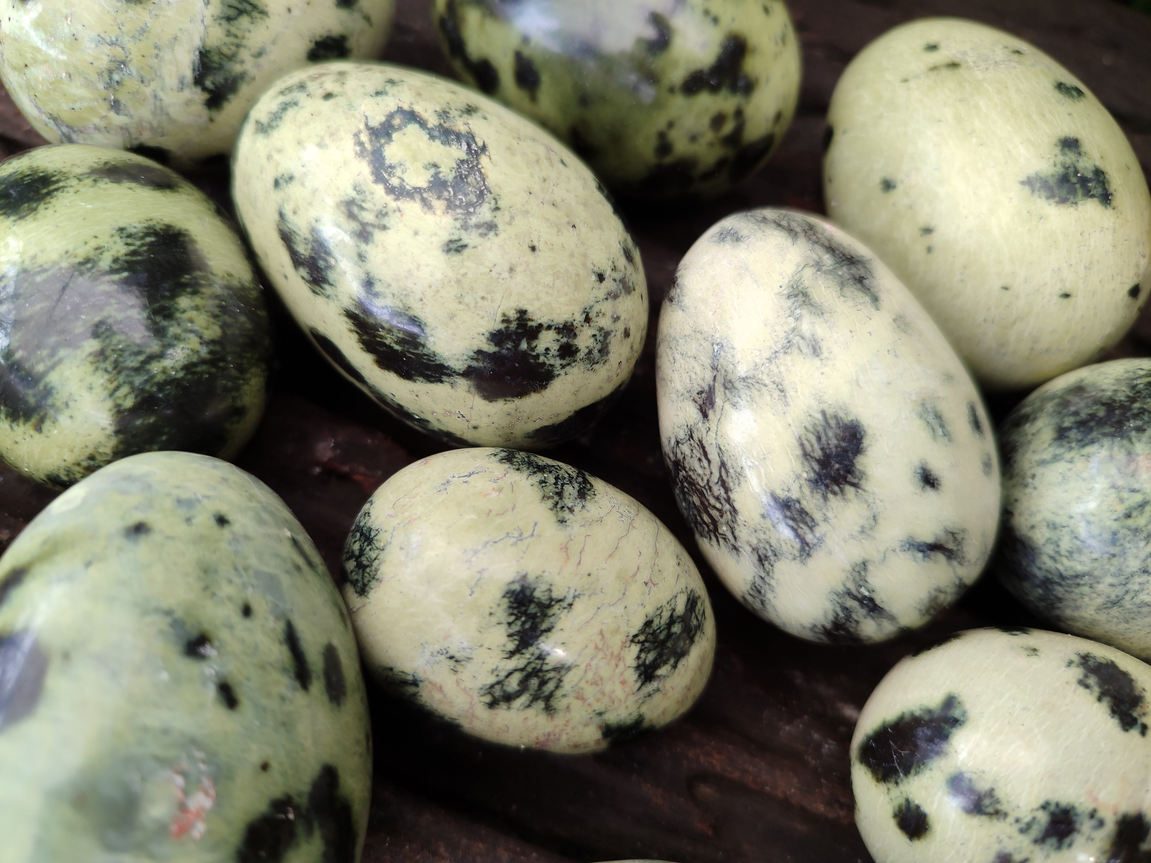 Polished Leopard Stone Gemstone Eggs x 12 From Zimbabwe - Toprock Gemstones and Minerals 