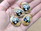 Polished Picture Stone Oval Pendant with Hand Painted Panda- Sold Per Item - From Namibia - Toprock Gemstones and Minerals 