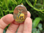 Polished Polychrome Jasper Pendant with Hand Painted Kudu - sold per item - From Madagascar - Toprock Gemstones and Minerals 
