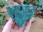 Natural Botryoidal Malachite Specimens x 6 From Congo - Toprock Gemstones and Minerals 