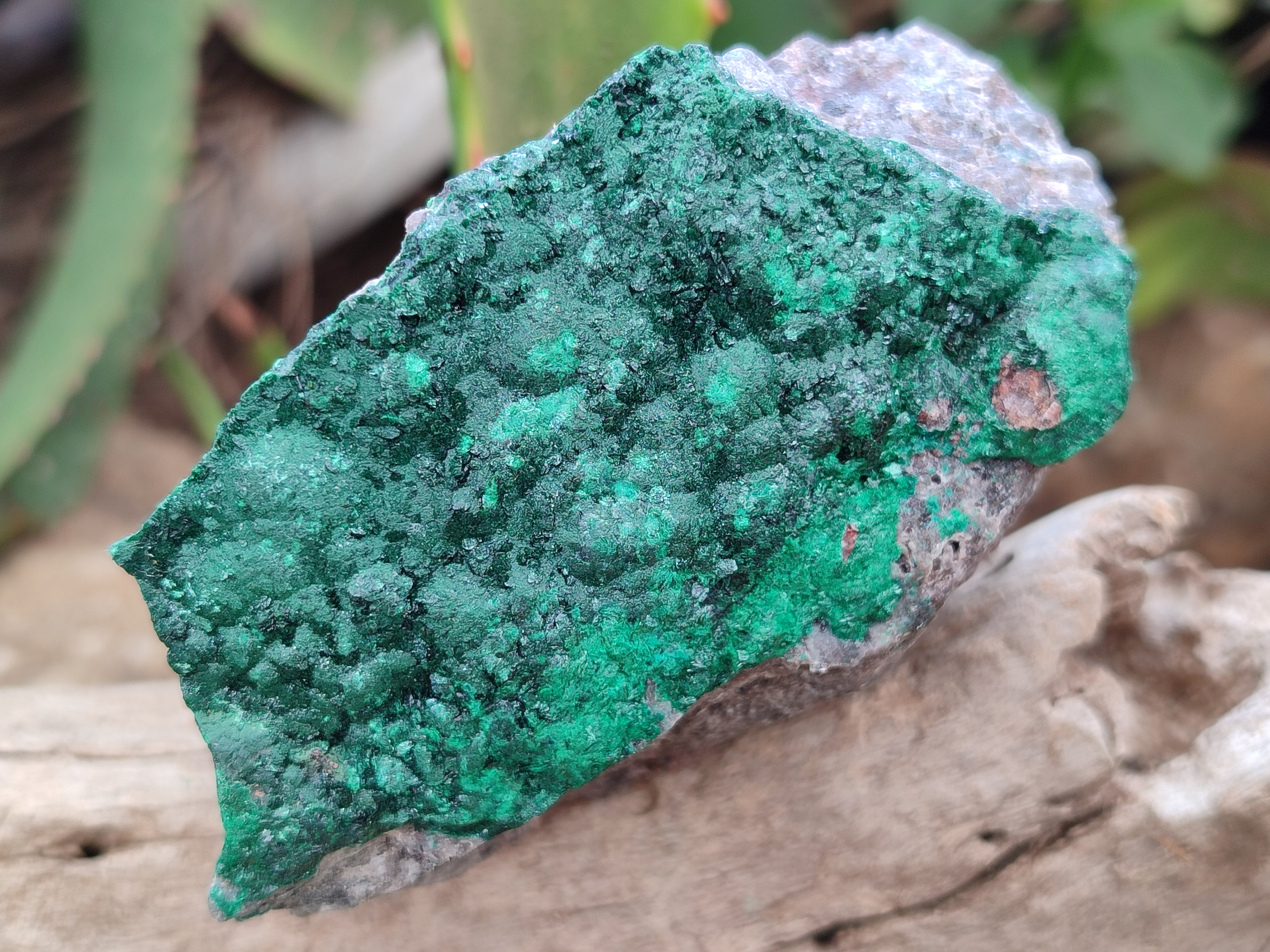 Natural Botryoidal Malachite Specimens x 6 From Congo - Toprock Gemstones and Minerals 