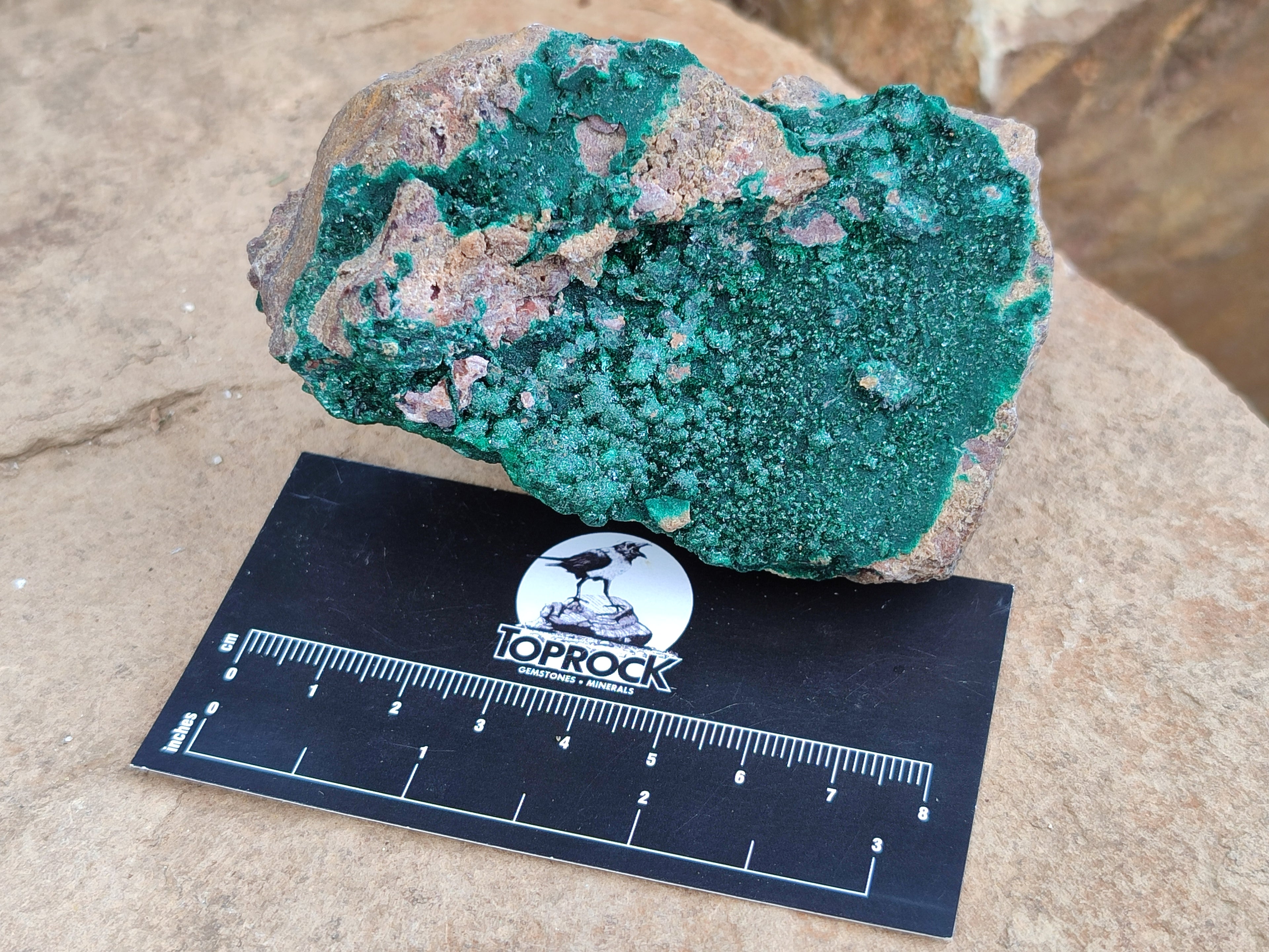 Natural Botryoidal Malachite Specimens x 6 From Congo - Toprock Gemstones and Minerals 