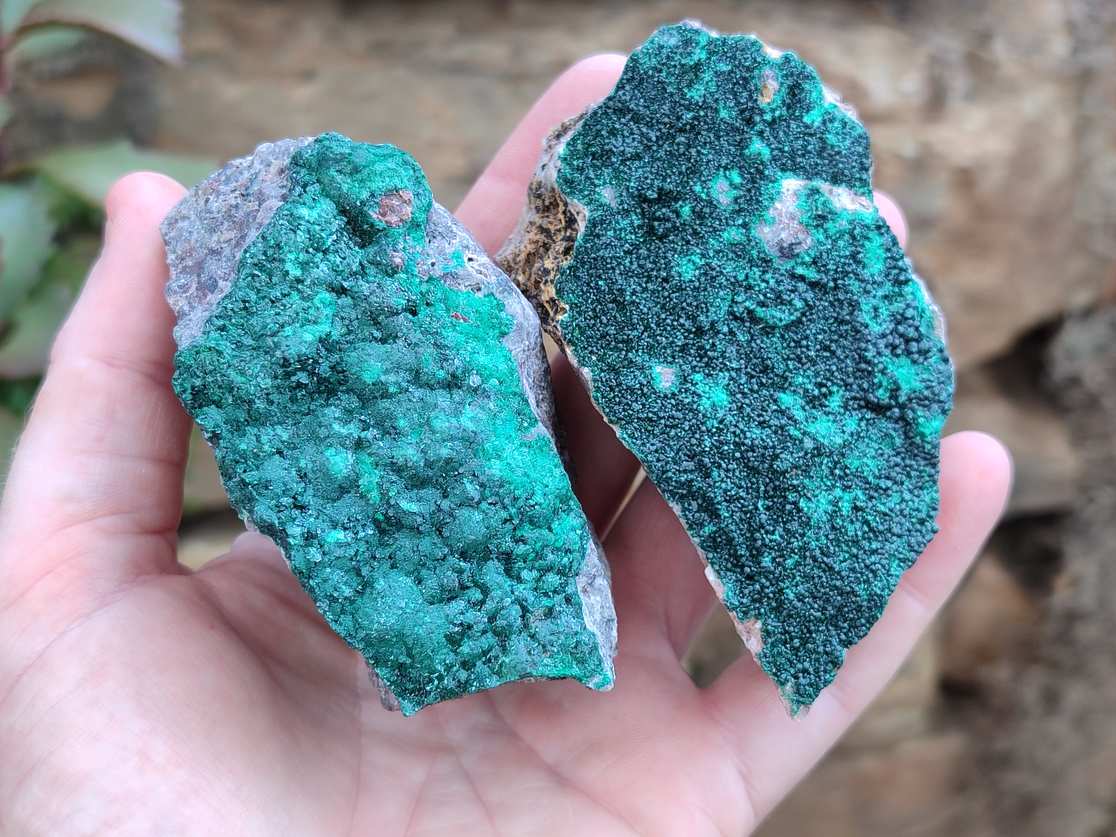 Natural Botryoidal Malachite Specimens x 6 From Congo - Toprock Gemstones and Minerals 