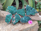 Natural Botryoidal Malachite Specimens x 6 From Congo - Toprock Gemstones and Minerals 