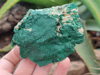 Natural Botryoidal Malachite Specimens x 6 From Congo - Toprock Gemstones and Minerals 