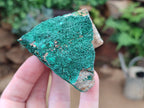 Natural Botryoidal Malachite Specimens x 6 From Congo - Toprock Gemstones and Minerals 
