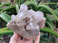 Natural Red Hematoid Quartz Clusters x 3 From Karoi, Zimbabwe - Toprock Gemstones and Minerals 