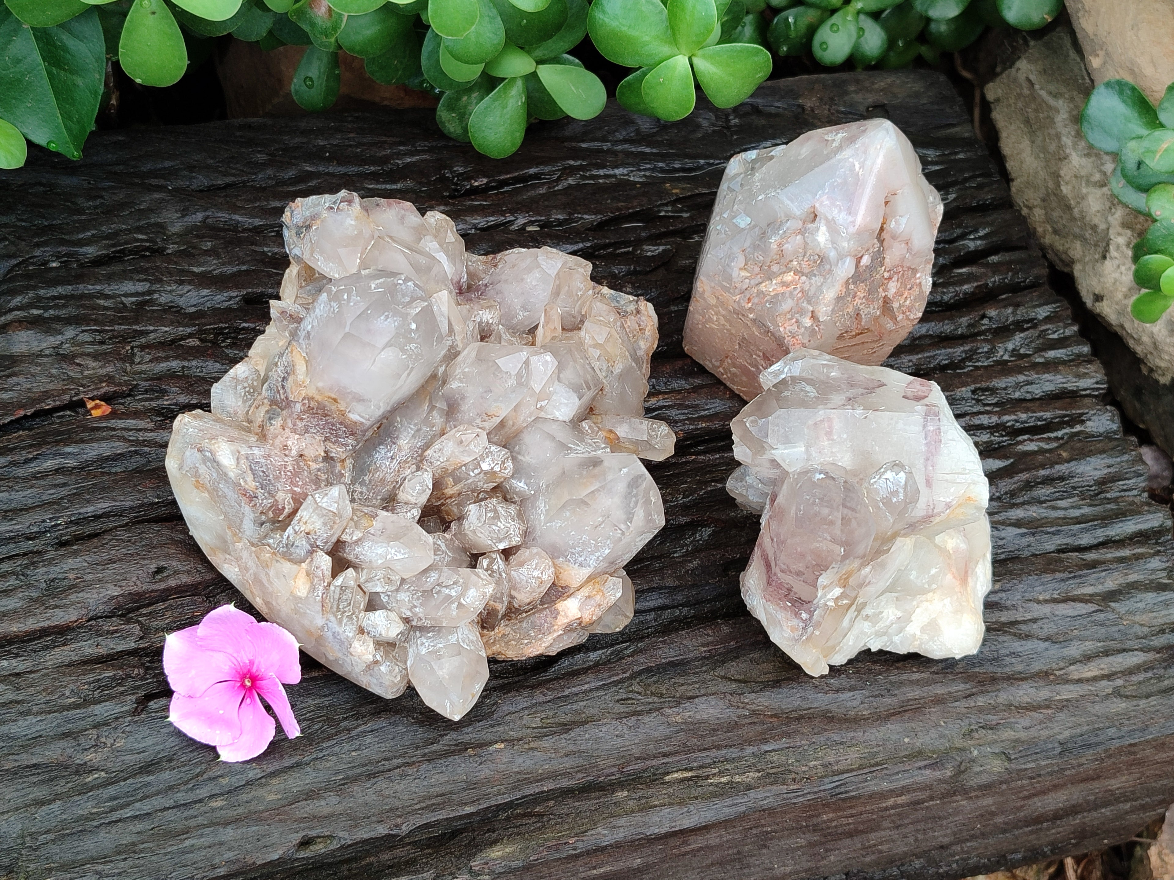 Natural Red Hematoid Quartz Clusters x 3 From Karoi, Zimbabwe - Toprock Gemstones and Minerals 