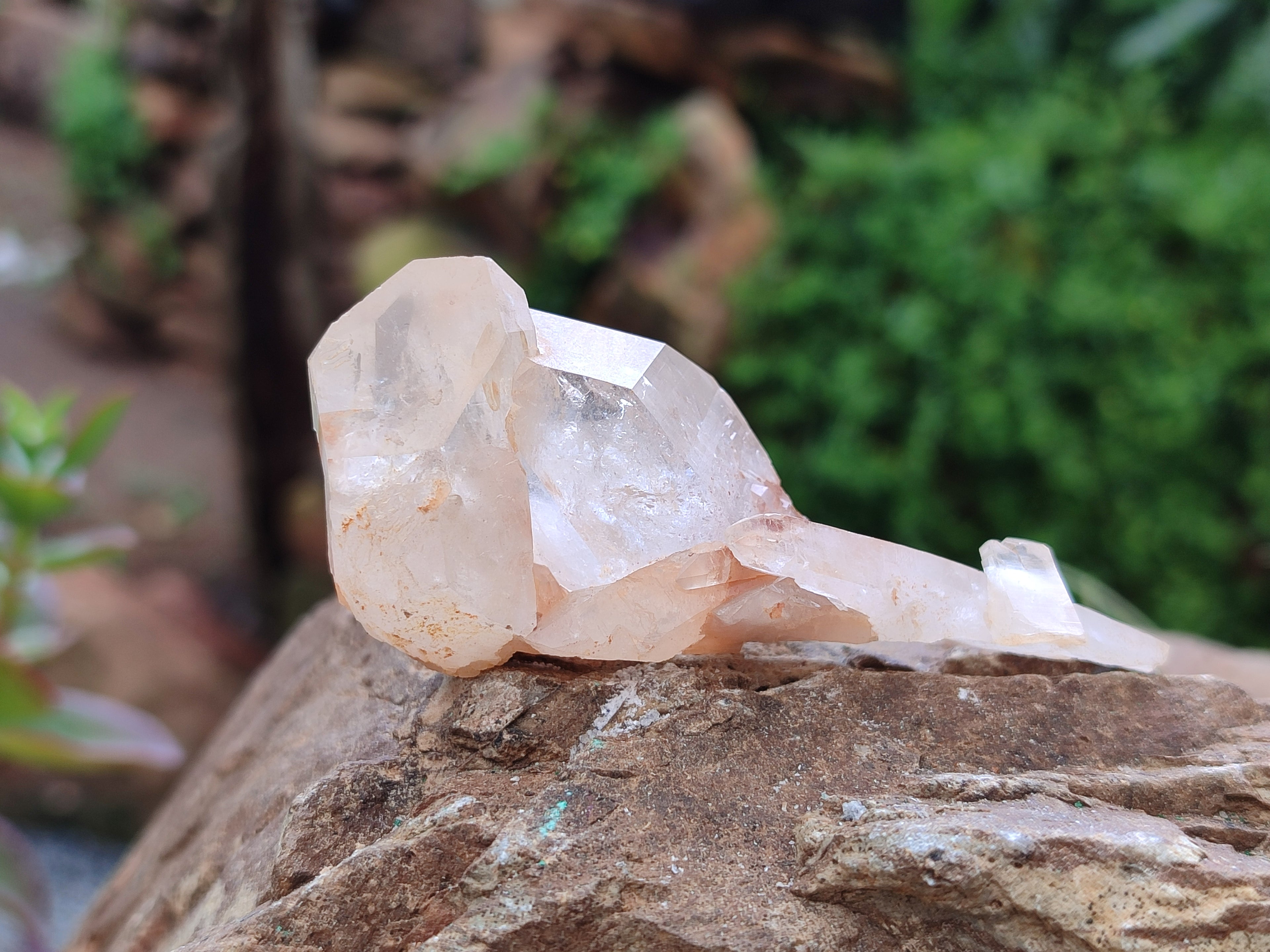 Natural Quartz Clusters x 12 From Mpika, Zambia - Toprock Gemstones and Minerals 