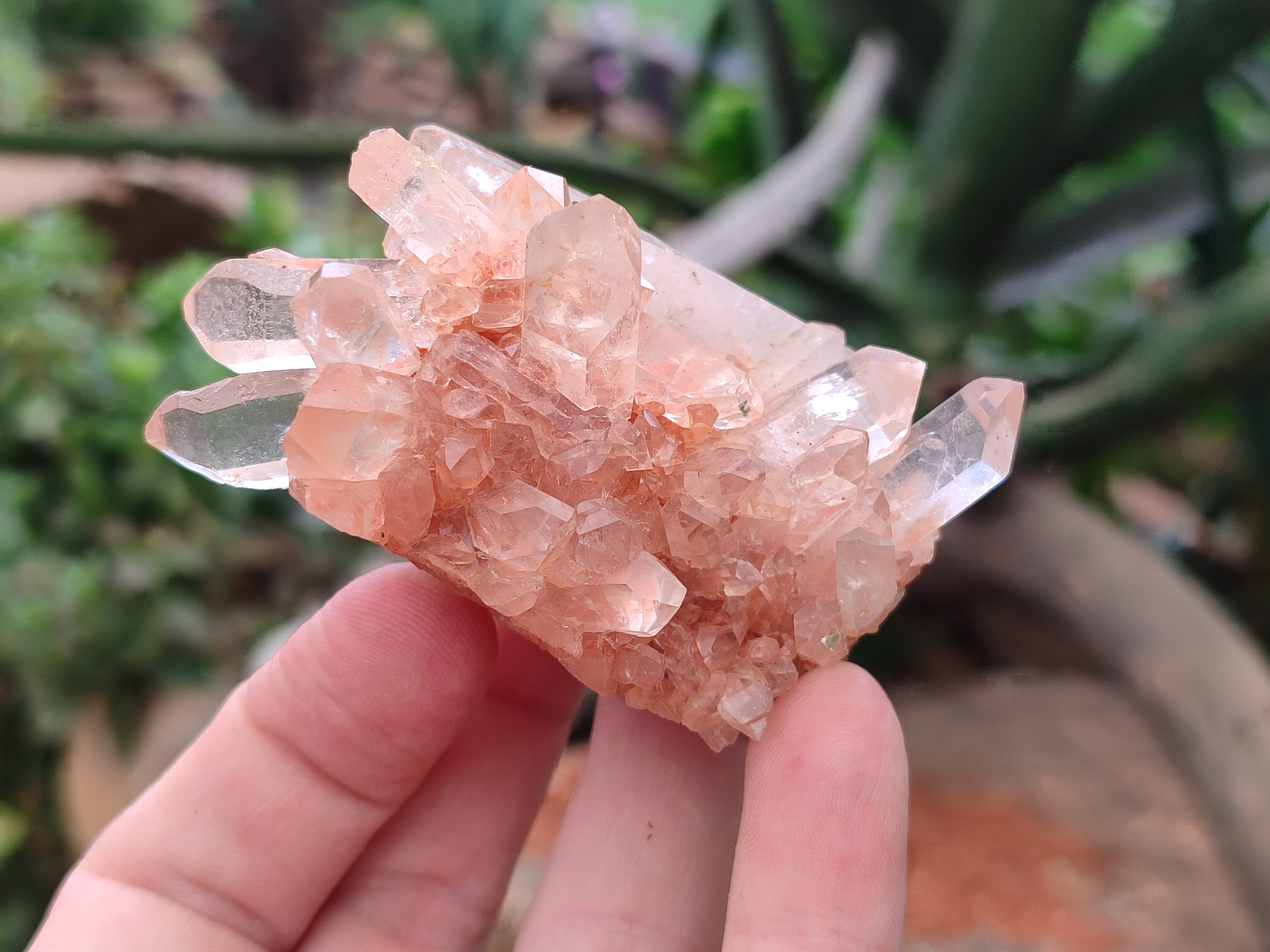 Natural Quartz Clusters x 12 From Mpika, Zambia - Toprock Gemstones and Minerals 