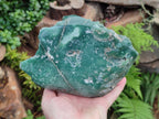Polished On One Side Emerald Mtorolite Plates x 2 From Mutorashanga, Zimbabwe - Toprock Gemstones and Minerals 