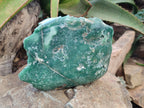 Polished On One Side Emerald Mtorolite Plates x 2 From Mutorashanga, Zimbabwe - Toprock Gemstones and Minerals 