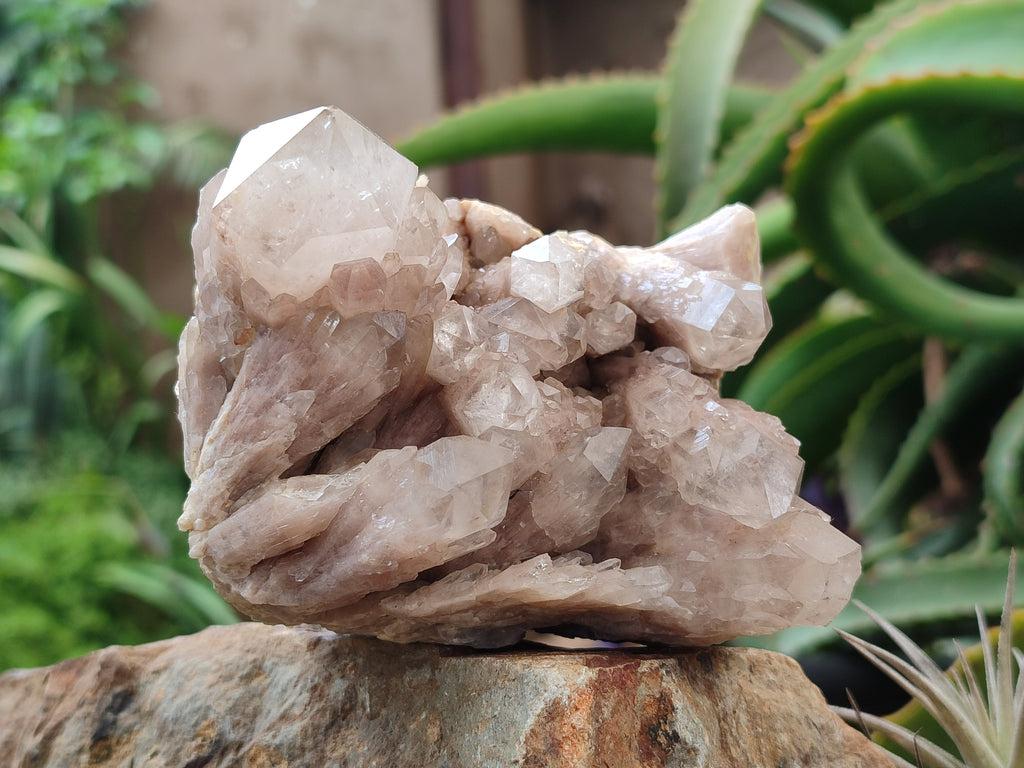 Natural Smokey Phantom Quartz Clusters x 2 From Luena, Congo - Toprock Gemstones and Minerals 