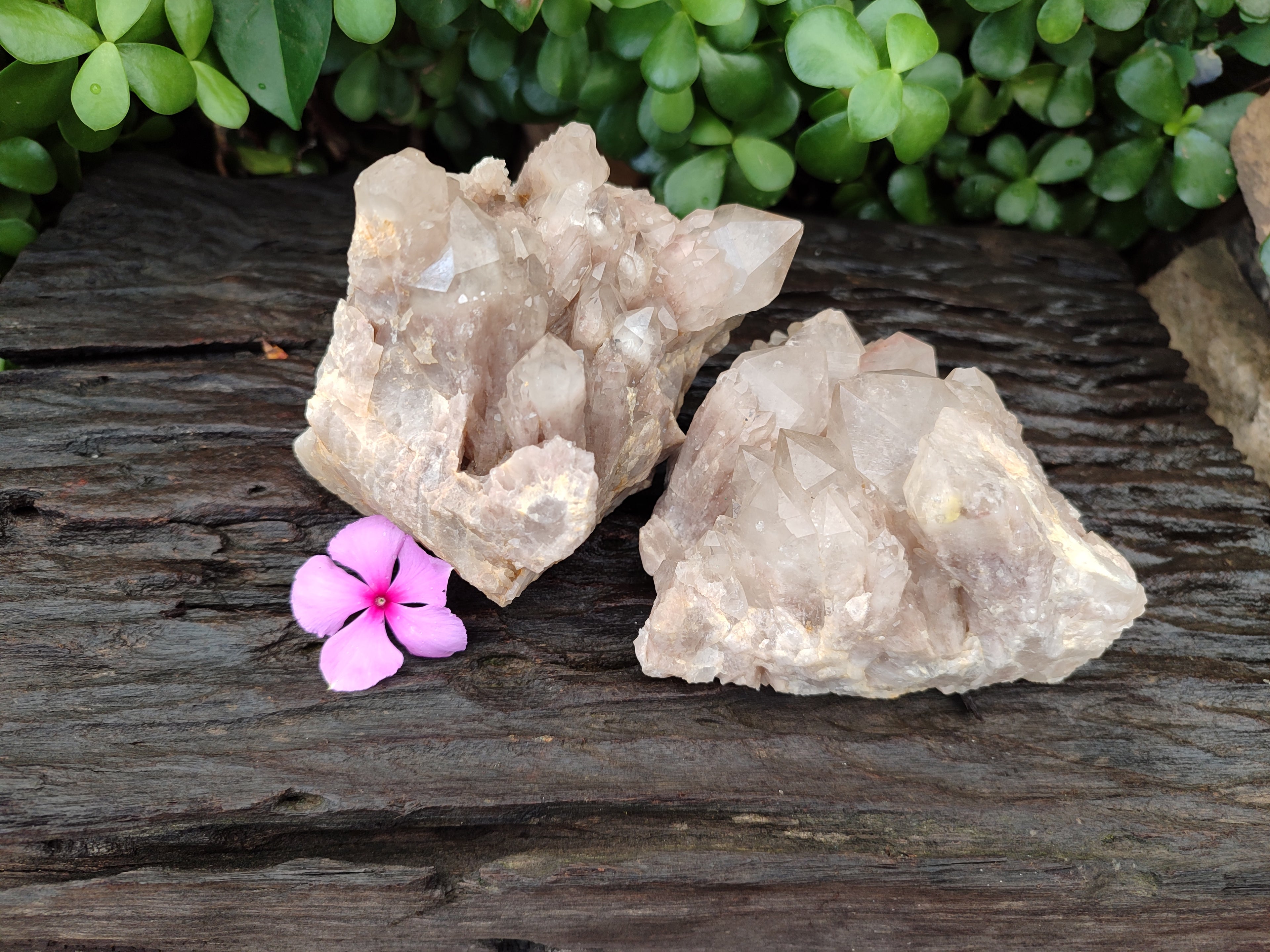 Natural Smokey Phantom Quartz Clusters x 2 From Luena, Congo - Toprock Gemstones and Minerals 