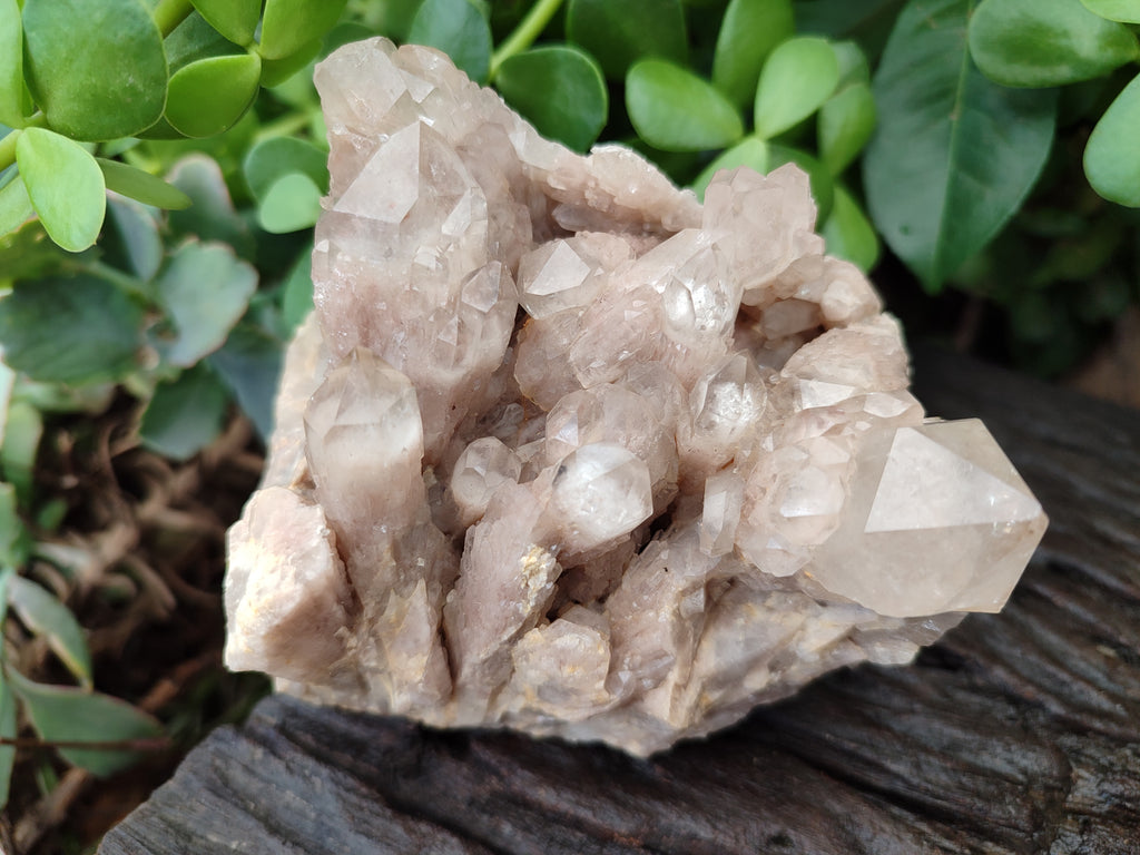 Natural Smokey Phantom Quartz Clusters x 2 From Luena, Congo - Toprock Gemstones and Minerals 