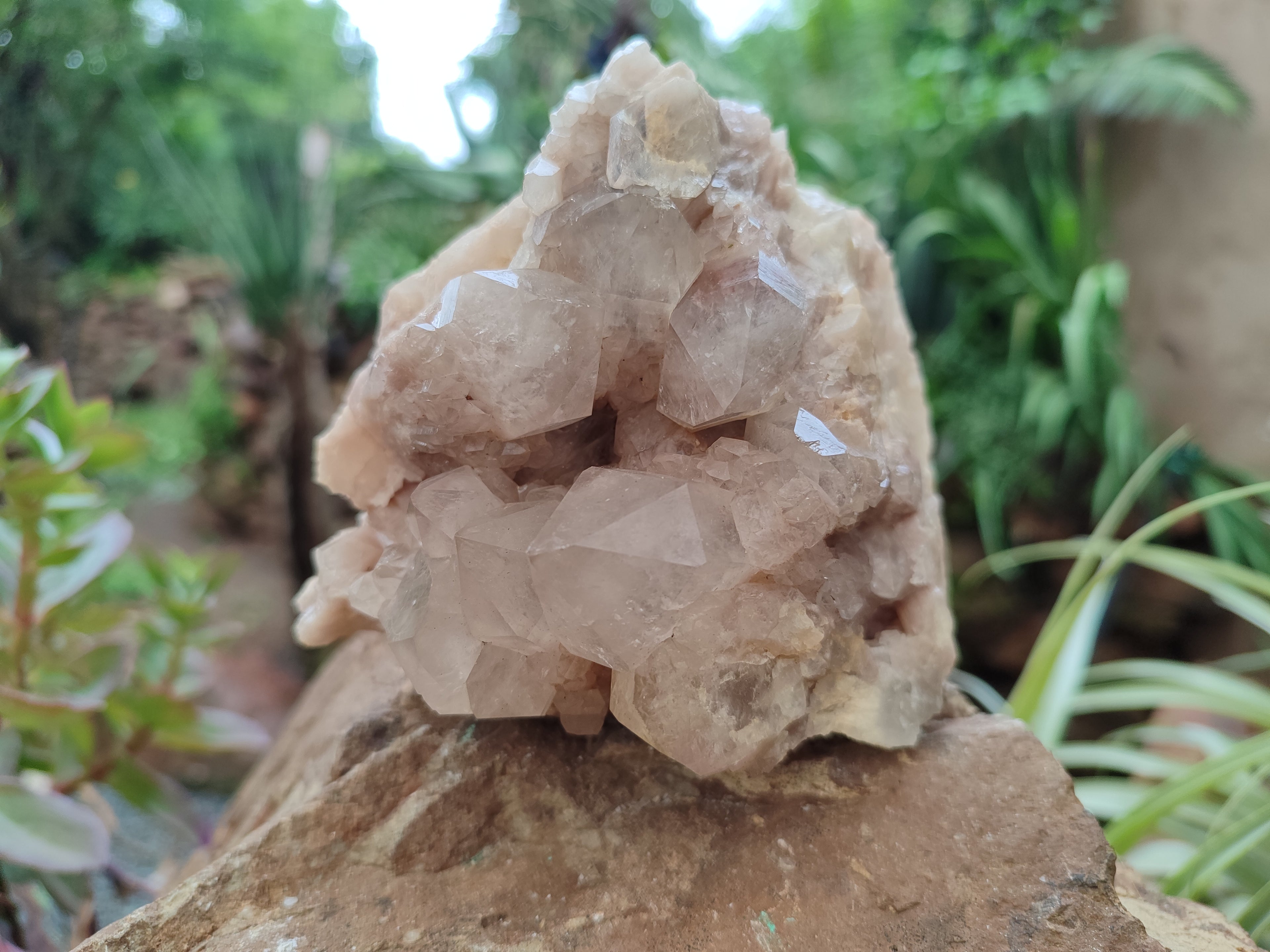 Natural Smokey Phantom Quartz Clusters x 2 From Luena, Congo - Toprock Gemstones and Minerals 