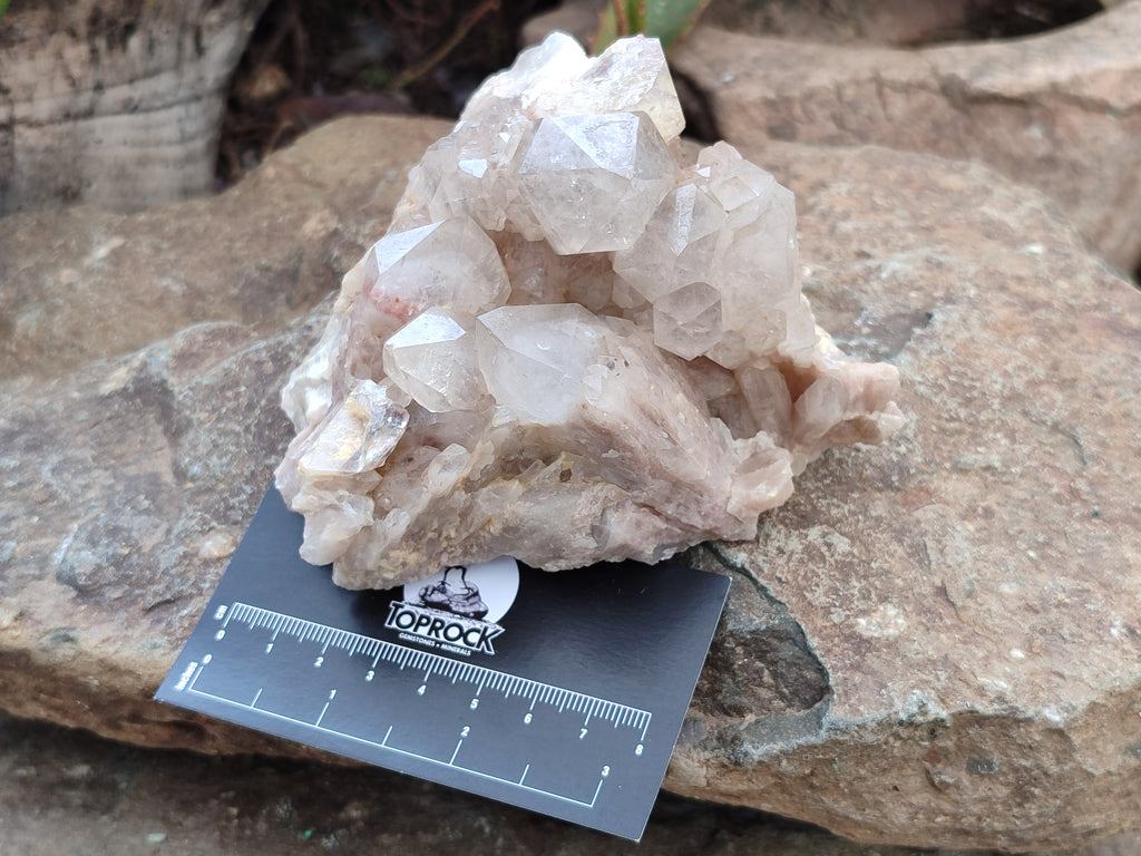Natural Smokey Phantom Quartz Clusters x 2 From Luena, Congo - Toprock Gemstones and Minerals 