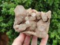 Natural Smokey Phantom Quartz Clusters x 2 From Luena, Congo - Toprock Gemstones and Minerals 
