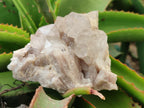 Natural Smokey Phantom Quartz Clusters x 2 From Luena, Congo - Toprock Gemstones and Minerals 