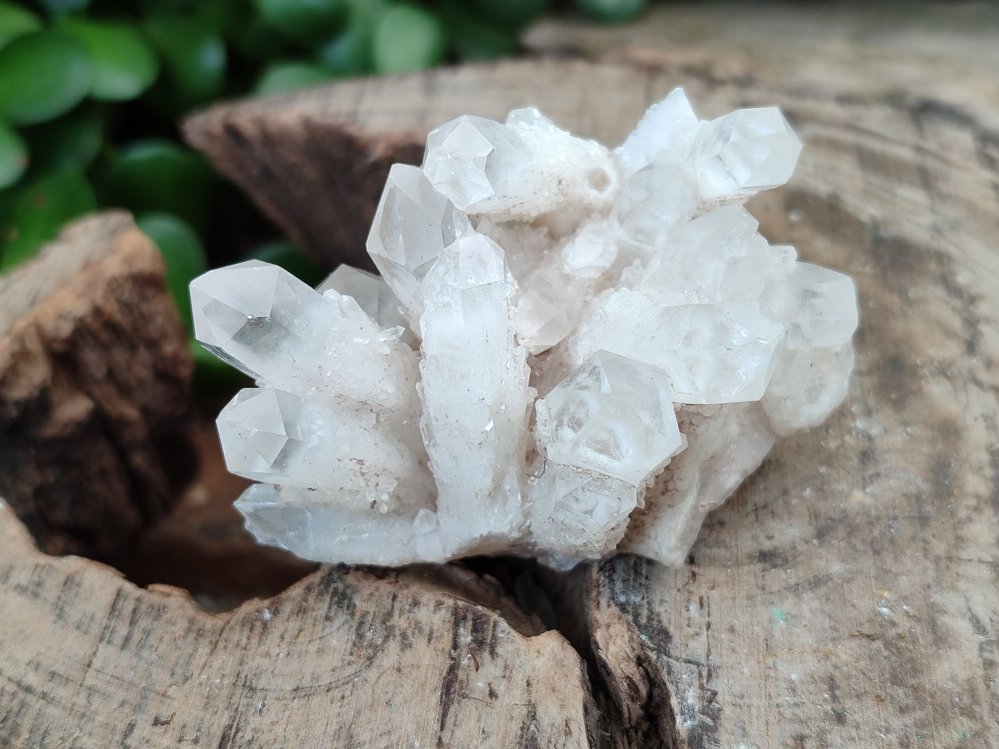 Natural Quartz Clusters x 37 From Madagascar - Toprock Gemstones and Minerals 