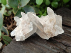 Natural Quartz Clusters x 37 From Madagascar - Toprock Gemstones and Minerals 