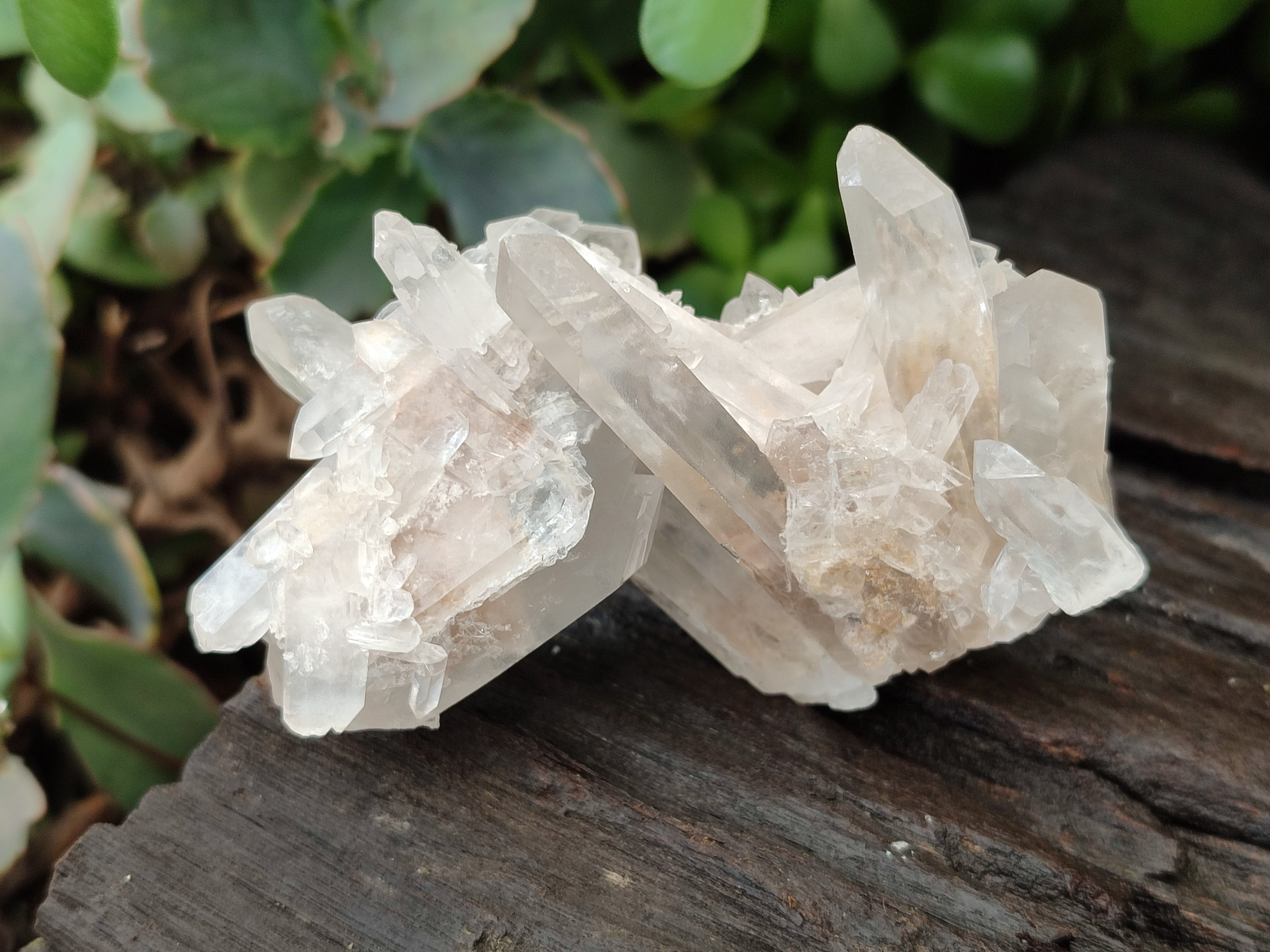 Natural Quartz Clusters x 37 From Madagascar - Toprock Gemstones and Minerals 
