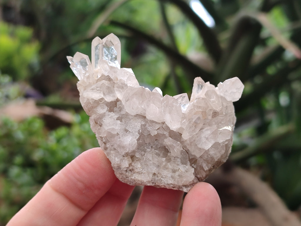 Natural Quartz Clusters x 37 From Madagascar - Toprock Gemstones and Minerals 