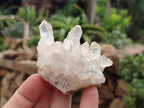 Natural Quartz Clusters x 37 From Madagascar - Toprock Gemstones and Minerals 