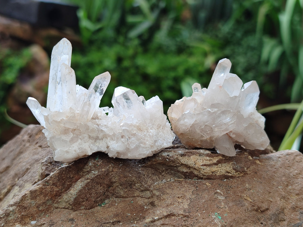 Natural Quartz Clusters x 37 From Madagascar - Toprock Gemstones and Minerals 