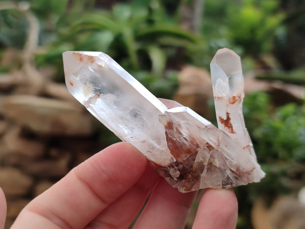 Natural Quartz Clusters x 37 From Madagascar - Toprock Gemstones and Minerals 